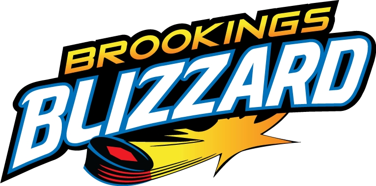 brookings blizzard 2012-pres wordmark logo iron on transfers for T-shirts